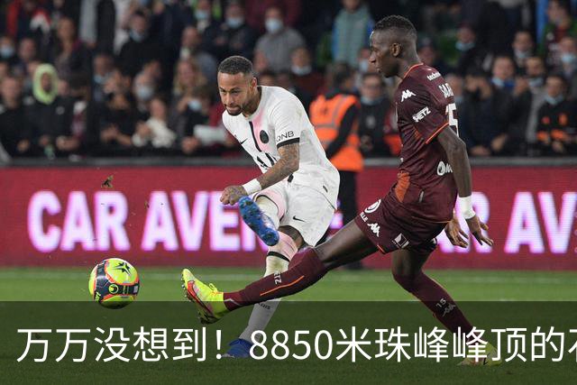 万万没想到！8850米珠峰峰顶的石头，竟来自4亿年前的海底！