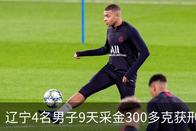 辽宁4名男子9天采金300多克获刑，村里砂土为何能淘金？土法筛金对人体和环境有何危害？